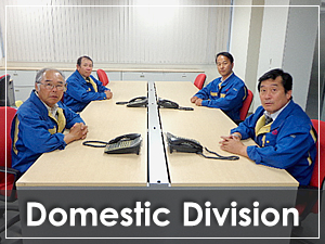 Domestic Division