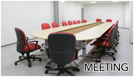 MEETING